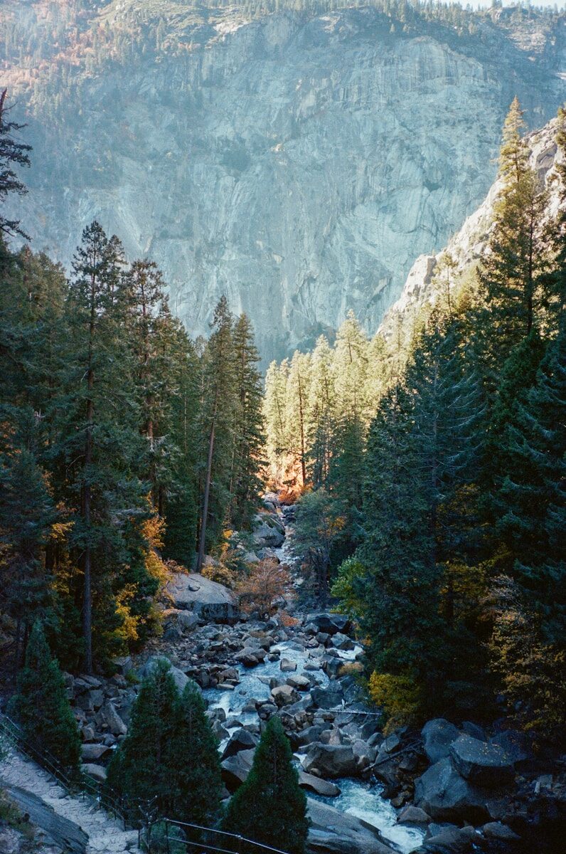 Strategies for Asymmetric Warfare Resilience